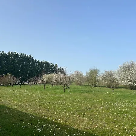 Domaine Annea Villa Virazeil